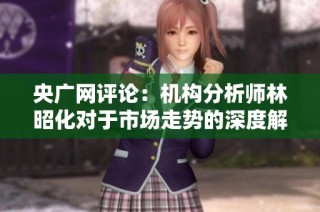 央广网评论：机构分析师林昭化对于市场走势的深度解读与展望