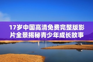 17岁中国高清免费完整版影片全景揭秘青少年成长故事