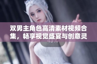 双男主角色高清素材视频合集，畅享视觉盛宴与创意灵感