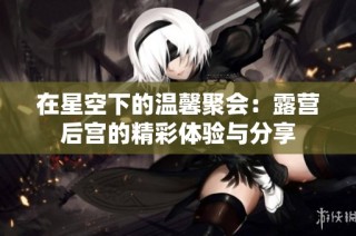 在星空下的温馨聚会：露营后宫的精彩体验与分享