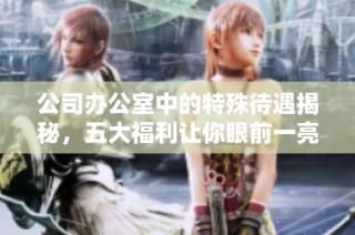 公司办公室中的特殊待遇揭秘，五大福利让你眼前一亮