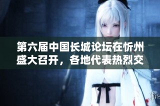 第六届中国长城论坛在忻州盛大召开，各地代表热烈交流心得体会